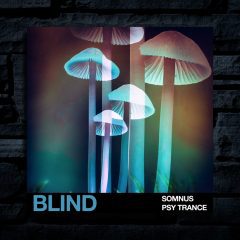 Blind Audio Somnus Psy Trance WAV