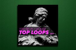 100 Tech House Top Loops Vol1 WAV