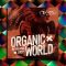 Organic Loops Organic World MULTi