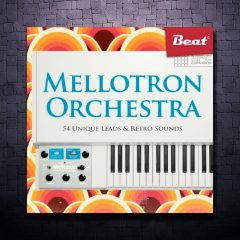 Expansion Mellotron Orchestra WAV