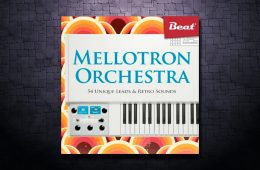 Expansion Mellotron Orchestra WAV