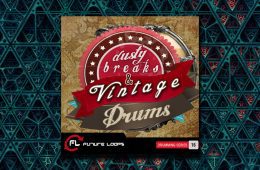 Dusty Breaks Vintage Drums WAV