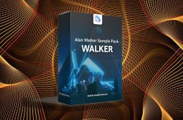 MusiCore Alan Walker Style MULTi