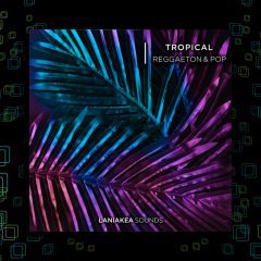 Tropical Reggaeton and Pop WAV