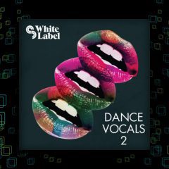 Sample Magic – Dance Vocals 2 WAV