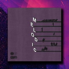 AYN Sounds – Melodic Sounds WAV