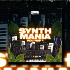 AYN Sounds – Synth Mania Vol1 WAV