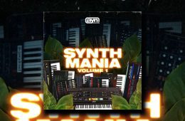 AYN Sounds – Synth Mania Vol1 WAV