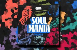 AYN Sounds – Soul Mania Vol1 MULTi