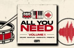 AYN Sounds – All You Need Vol1 MULTi