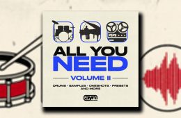 AYN Sounds – All You Need Vol2 MULTi