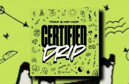 Origin Sound – Certified Drip WAV