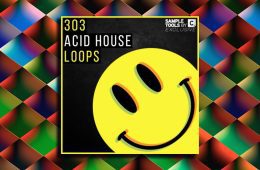 303 Acid House Loops WAV-MiD