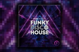 Sample State – Funky Disco House WAV