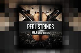 Real Strings Vol6 Broken Chords MULTi