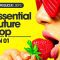 Essential Future Pop Vol 1 WAV-MIDI