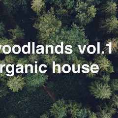 PML-Woodlands Vol1 WAV-MiD