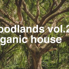 PML Woodlands Vol2  WAV-MiD