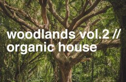PML Woodlands Vol2  WAV-MiD