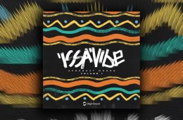 Issa Vibe – Afrobeat Moods WAV