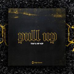 Origin Sound – Pull Up WAV