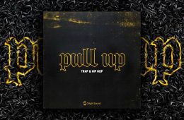 Origin Sound – Pull Up WAV