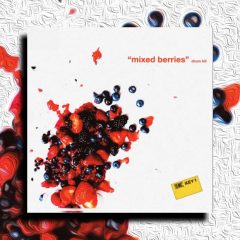 Micro – Tonal – Mixed Berries WAV