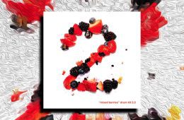 Micro – Tonal – Mixed Berries Vol2 WAV