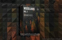 PML – Woodlands Vol2  WAV-MiD