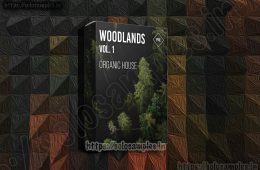 PML-Woodlands Vol1 WAV-MiD