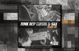 Funk Hop Guitar and Sax Vol1 WAV