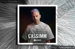 Toolroom CASSIMM Trademark Series WAV