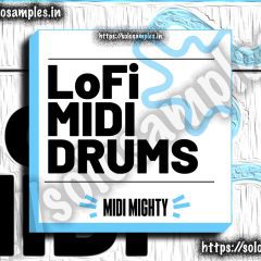 Rudemuzik – LoFi Drum WAV-MiD