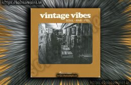 Origin Sound – Vintage Vibes WAV