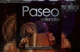 Paseo Vallenato MULTi