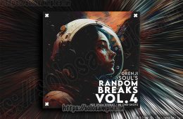 Orenji Soul – Random Breaks Vol4 WAV