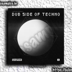 Looptone Dub Side Of Techno WAV