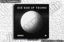 Looptone Dub Side Of Techno WAV