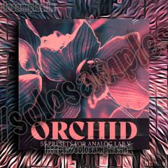 Audio Juice – Orchid WAV-MiD