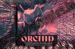 Audio Juice – Orchid WAV-MiD