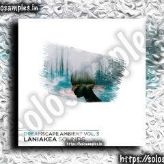 Dreamscape Ambient Vol3 WAV-MiD