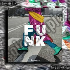 Samplestar – This Is Funk WAV