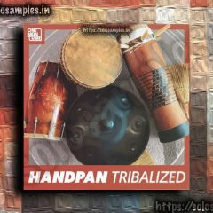 One Man Tribe HandPan Tribalized WAV