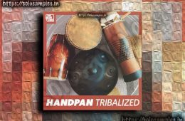 One Man Tribe HandPan Tribalized WAV