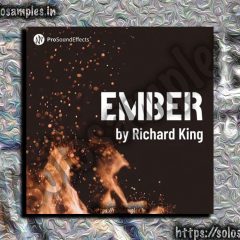 Pro Sound Effects – Ember WAV