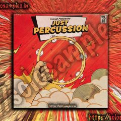 Tamuz – Just Percussion WAV