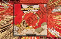 Tamuz – Just Percussion WAV