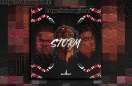 Blvckout – Storm WAV-MiD