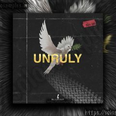 Blvckout – Unruly WAV-MiD