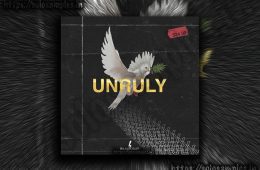 Blvckout – Unruly WAV-MiD